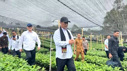Target Ekspor Kopi Gayo Naik