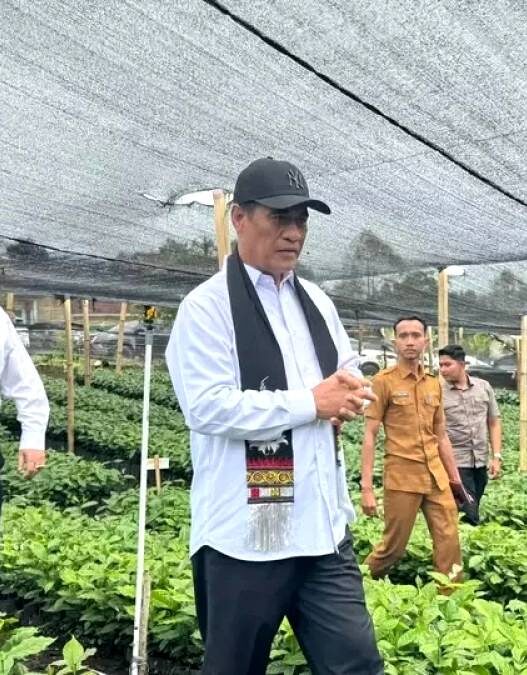 Target Ekspor Kopi Gayo Naik