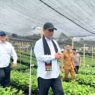 Target Ekspor Kopi Gayo Naik