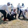 Tiap Hari, Sampah Capai 1.000 Ton