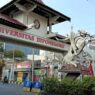 Universitas Diponegoro