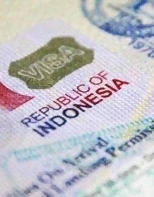 Visa WNI
