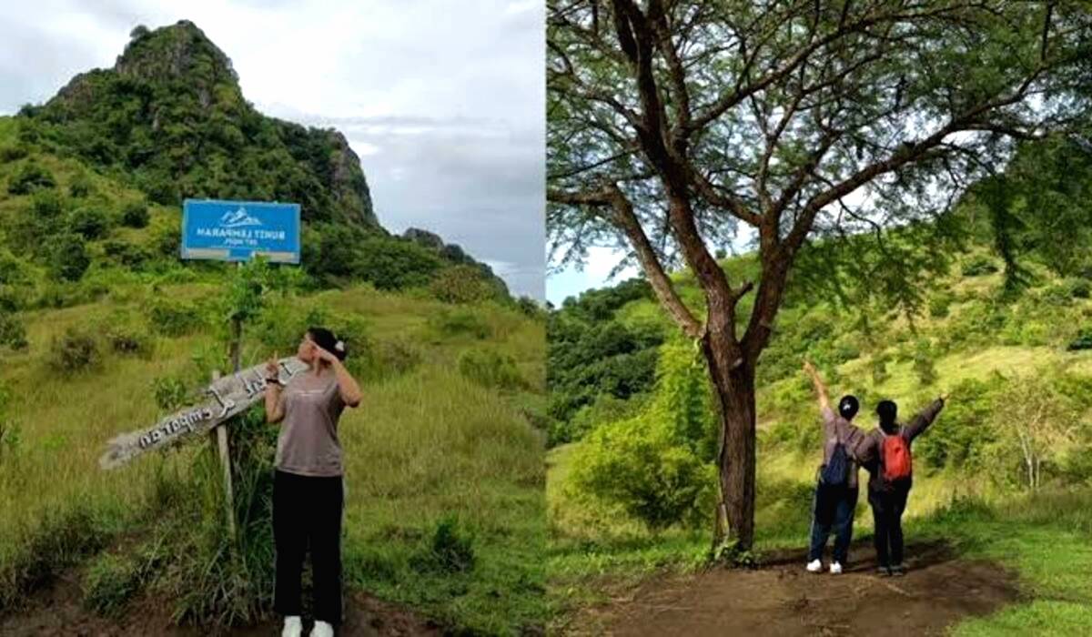 Wisata Bukit Lemparan Tulungagung