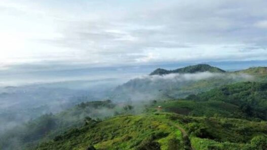 Wisata Panenjoan Sampalan