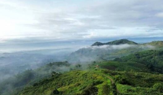 Wisata Panenjoan Sampalan