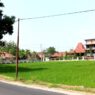 100 Hektare Sawah Terancam Puso