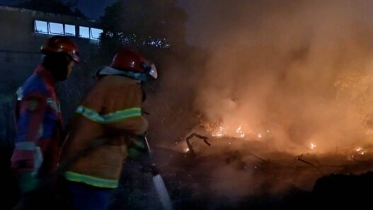 150 Meter Persegi Lahan Terbakar