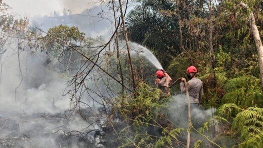 3.734 Warga Kalteng Kena ISPA