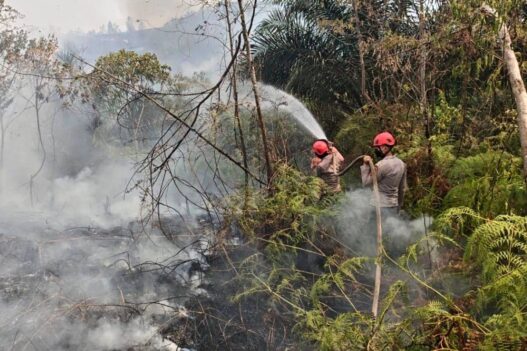 3.734 Warga Kalteng Kena ISPA