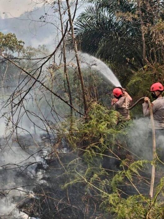 3.734 Warga Kalteng Kena ISPA
