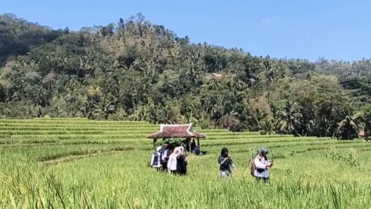 362 Aset Tanah Pemda Belum Bersertifikat