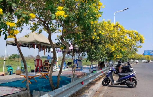 565 UMKM Bung Karno Ditata Serentak