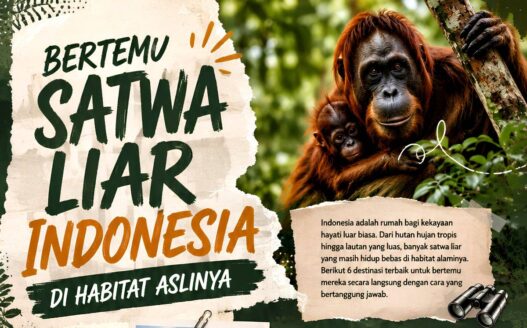 Bertemu Satwa Liar Indonesia di Habitat Aslinya