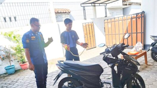 Bikin Panik, Ular Jali Masuk ke Bodi Motor
