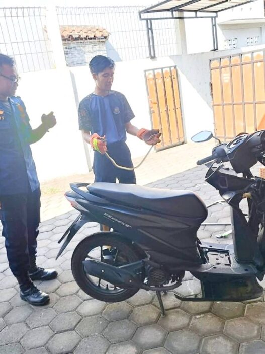Bikin Panik, Ular Jali Masuk ke Bodi Motor