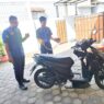 Bikin Panik, Ular Jali Masuk ke Bodi Motor