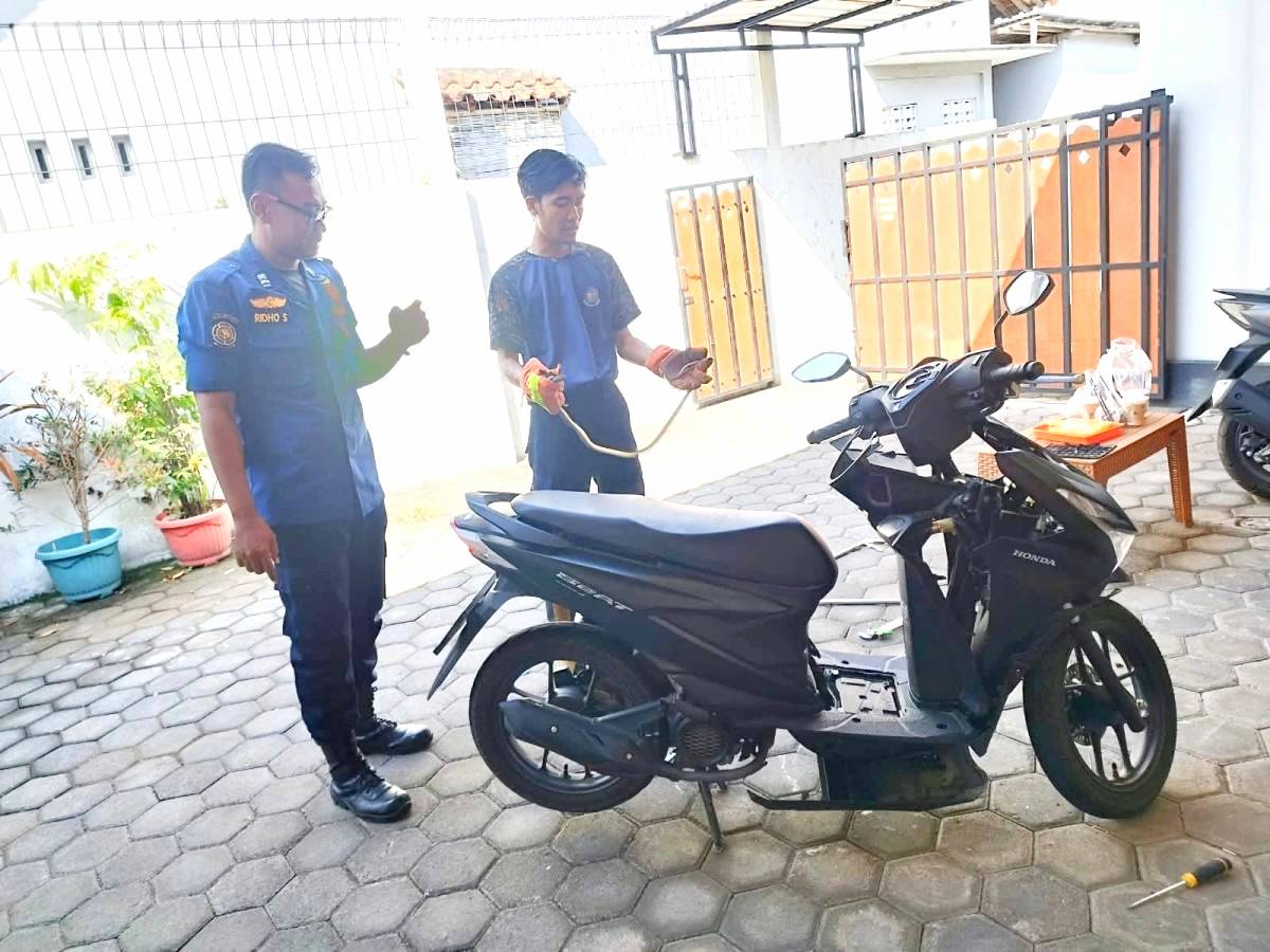 Bikin Panik, Ular Jali Masuk ke Bodi Motor