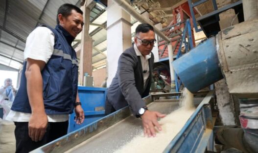 BULOG Genjot Pengawasan Kualitas Beras Nasional
