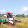 Combine Harvester Percepat Panen Padi