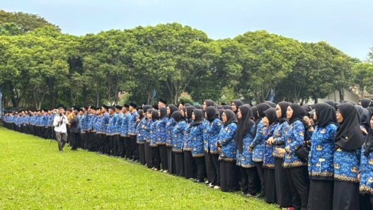 DPR Minta Gaji PPPK Daerah Dipetakan