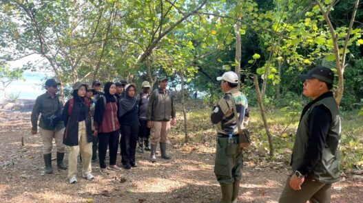 Dua Elang Dilepasliarkan di Nusakambangan