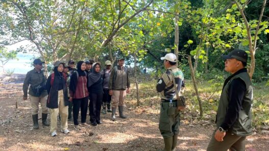 Dua Elang Dilepasliarkan di Nusakambangan