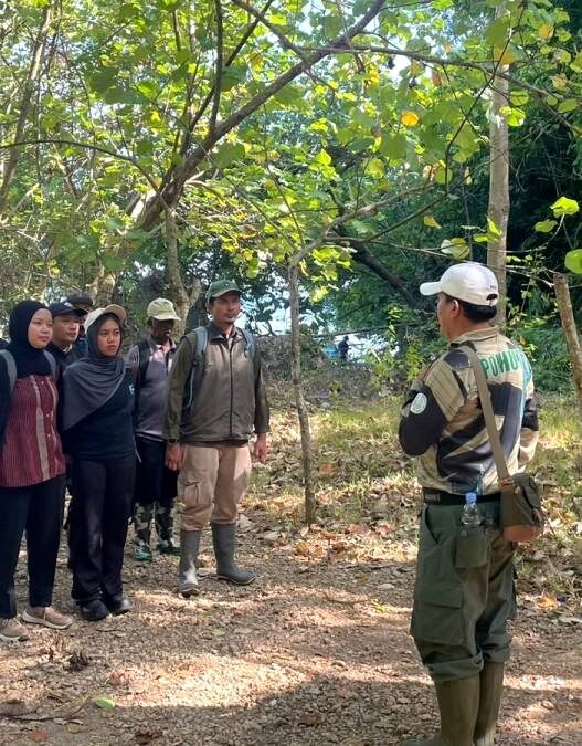 Dua Elang Dilepasliarkan di Nusakambangan