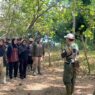 Dua Elang Dilepasliarkan di Nusakambangan