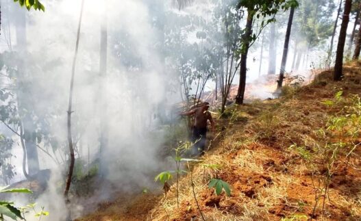 Dua Kebakaran Lahan Terjadi dalam Dua Hari