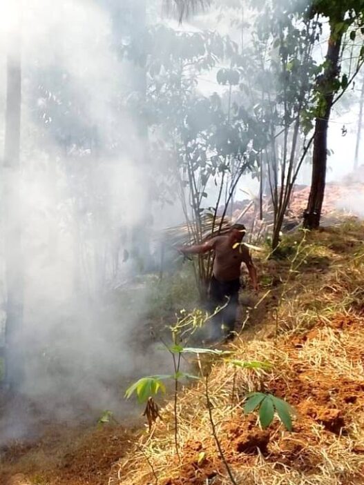 Dua Kebakaran Lahan Terjadi dalam Dua Hari