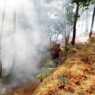 Dua Kebakaran Lahan Terjadi dalam Dua Hari
