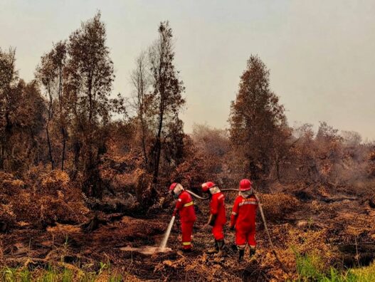 Empat Korporasi Besar Jalani Penyelidikan