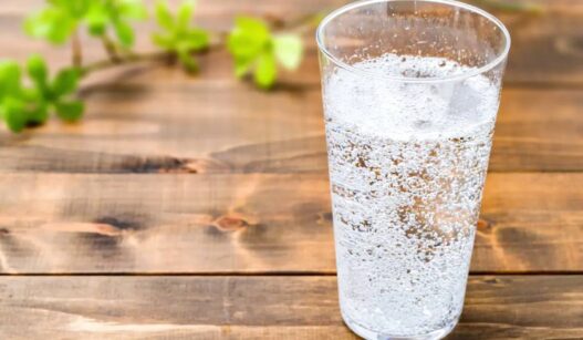 Fakta Meminum Sparkling Water