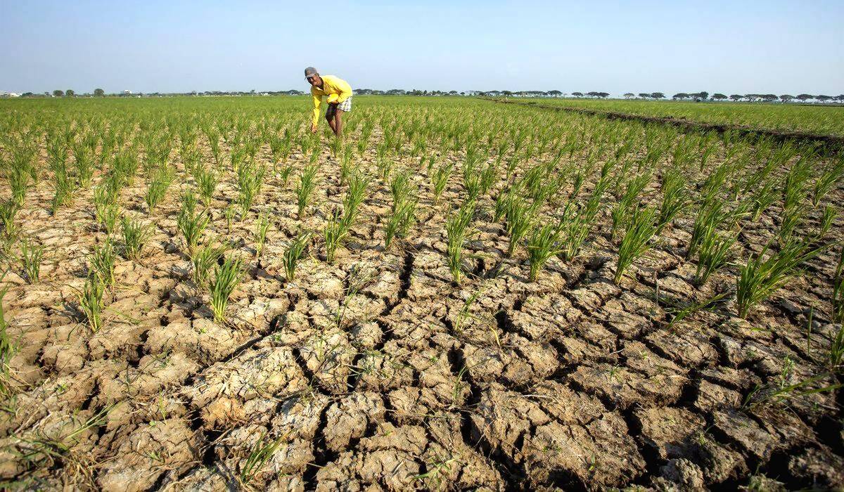 Fenomena El Nino di Indonesia