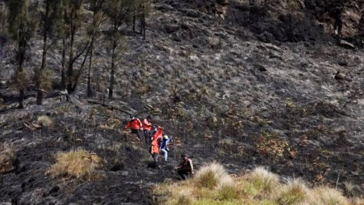 Gunung Nusantara Dikepung Api