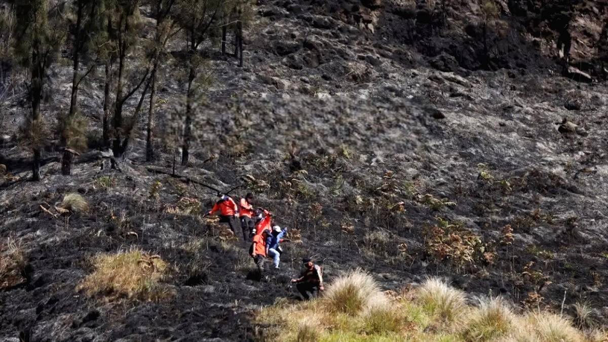Gunung Nusantara Dikepung Api