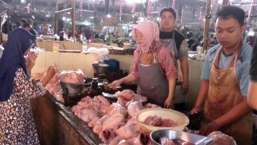 Harga Ayam Terus Naik
