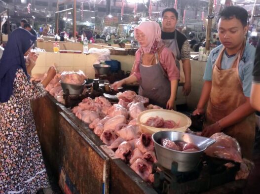 Harga Ayam Terus Naik