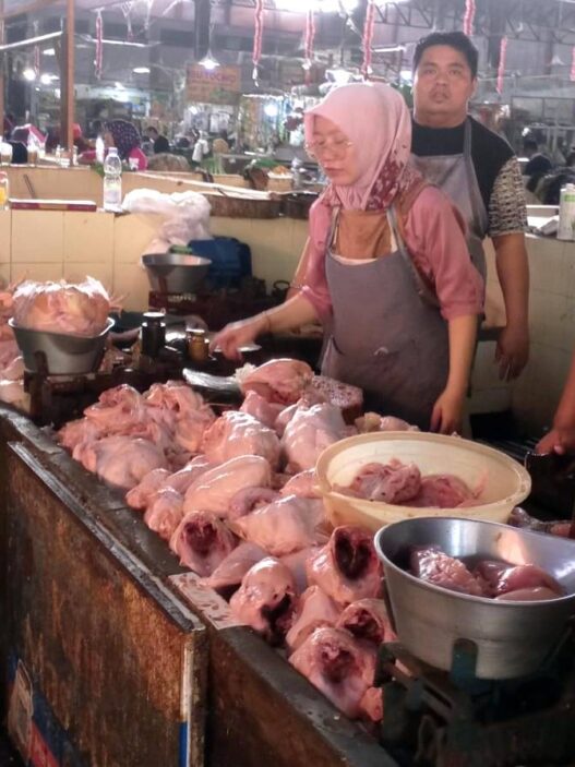Harga Ayam Terus Naik