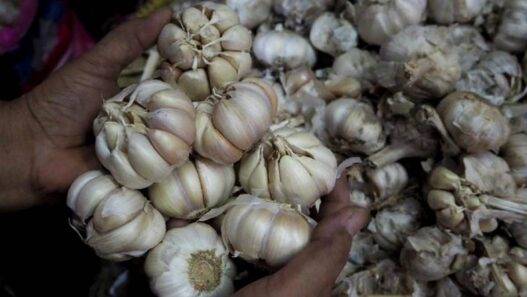 Harga Bawang Putih Naik di 248 Daerah