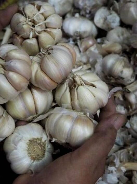Harga Bawang Putih Naik di 248 Daerah