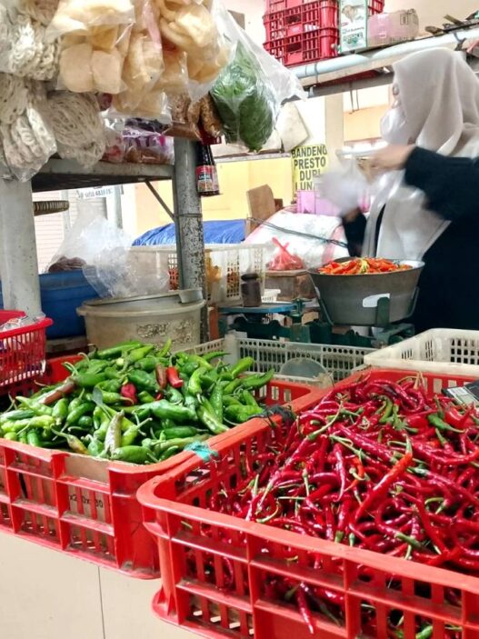 Harga Cabai Tembus Rp40 Ribu per Kilo
