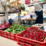 Harga Cabai Tembus Rp40 Ribu per Kilo