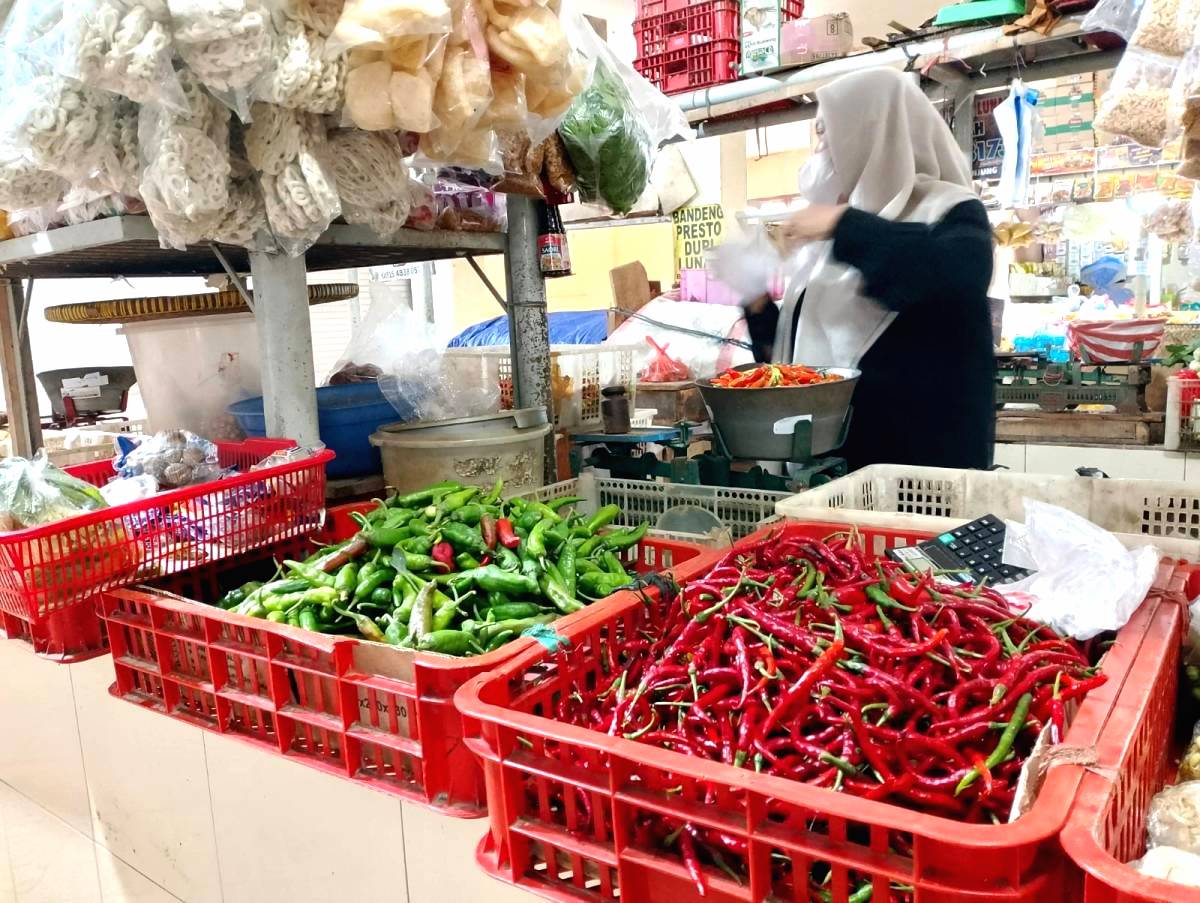 Harga Cabai Tembus Rp40 Ribu per Kilo
