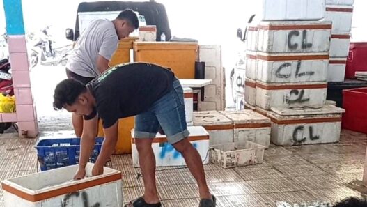 Hasil Tangkapan Ikan Nelayan Meningkat
