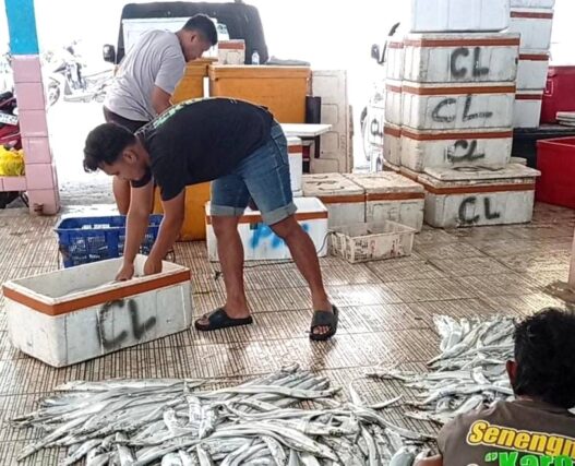 Hasil Tangkapan Ikan Nelayan Meningkat