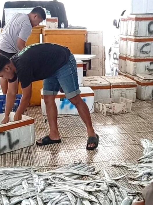 Hasil Tangkapan Ikan Nelayan Meningkat