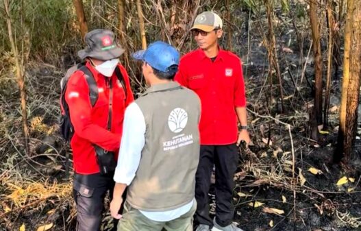 Hotspot Karhutla Kalimantan Masih Fluktuatif