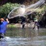 Ikan Besar Dijala, Benih Ikan Ditebar