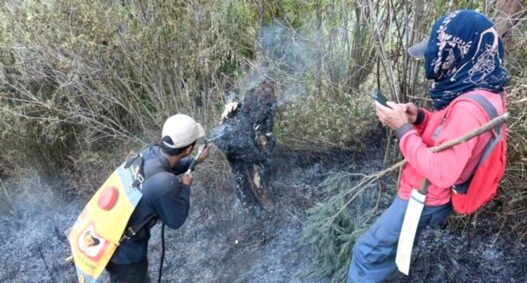 Jalur Pendakian Gunung Semeru Ditutup Total